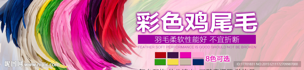 鸡尾毛海报