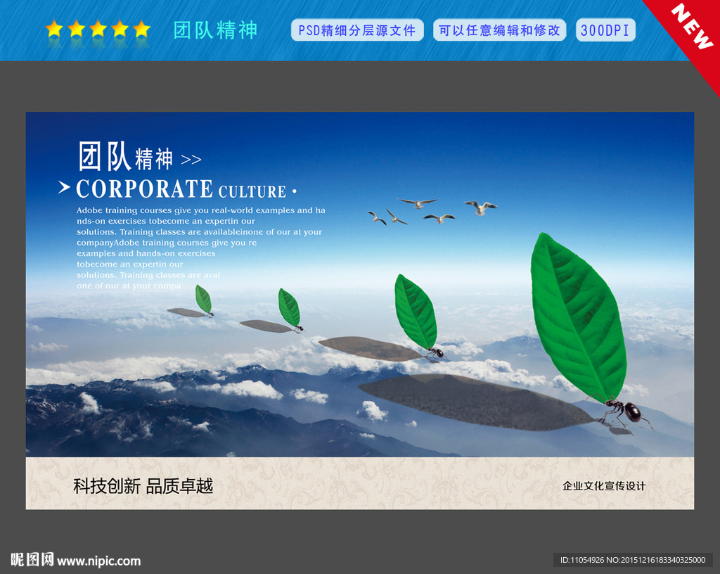蚂蚁团队精神