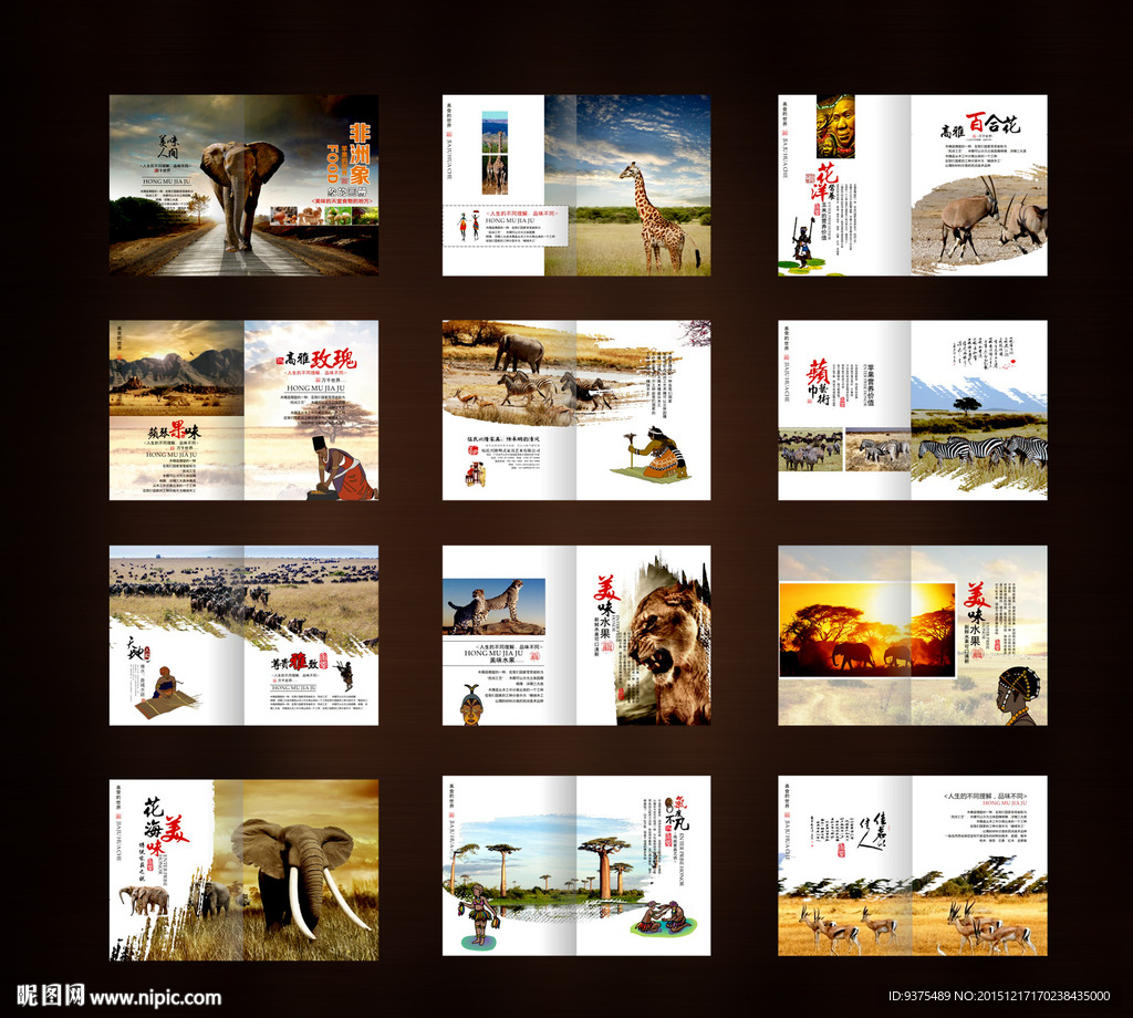 非洲旅游画册