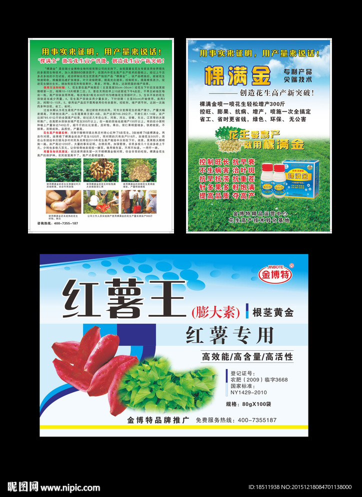 红薯 花生单页