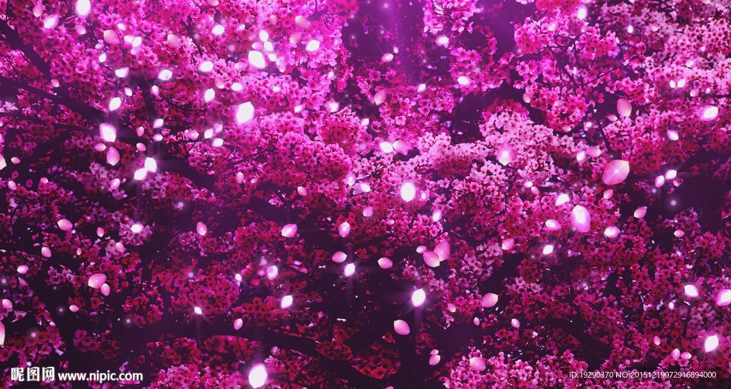 高清浪漫樱花树花瓣飞舞高端婚礼