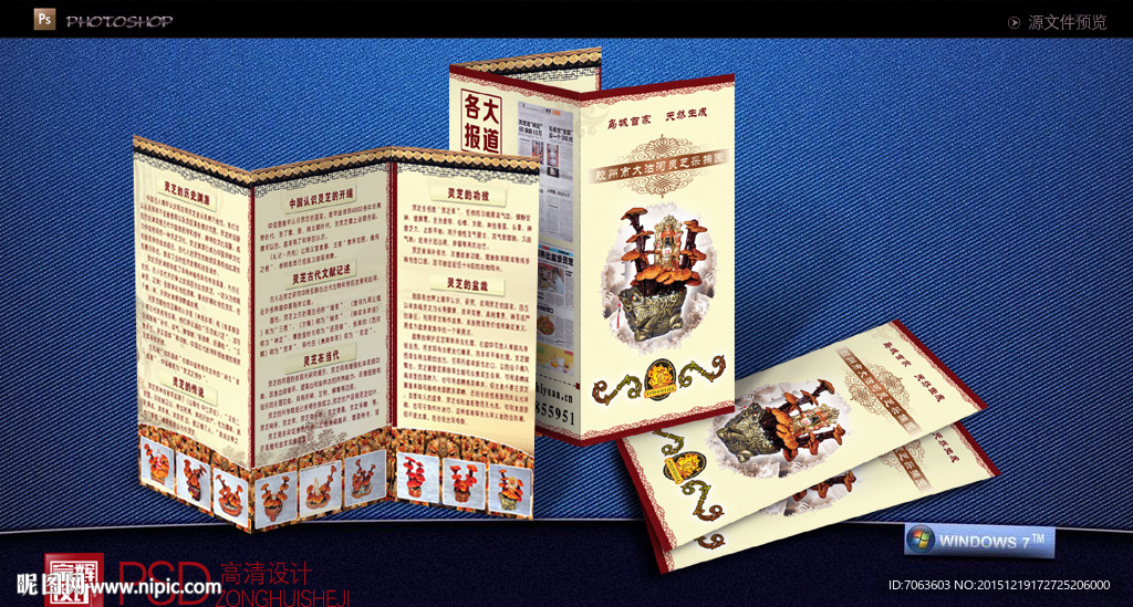 灵芝折页灵芝彩页