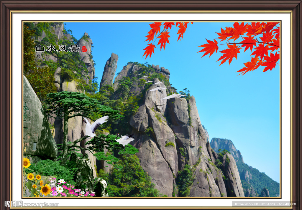 风景迎客松