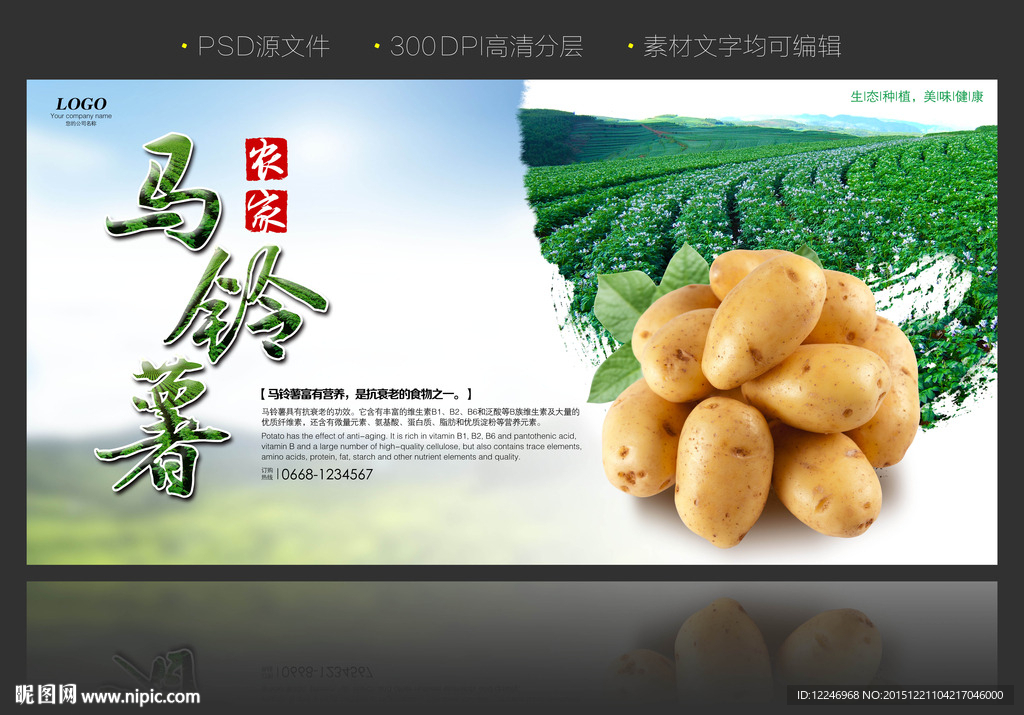 农家马铃薯