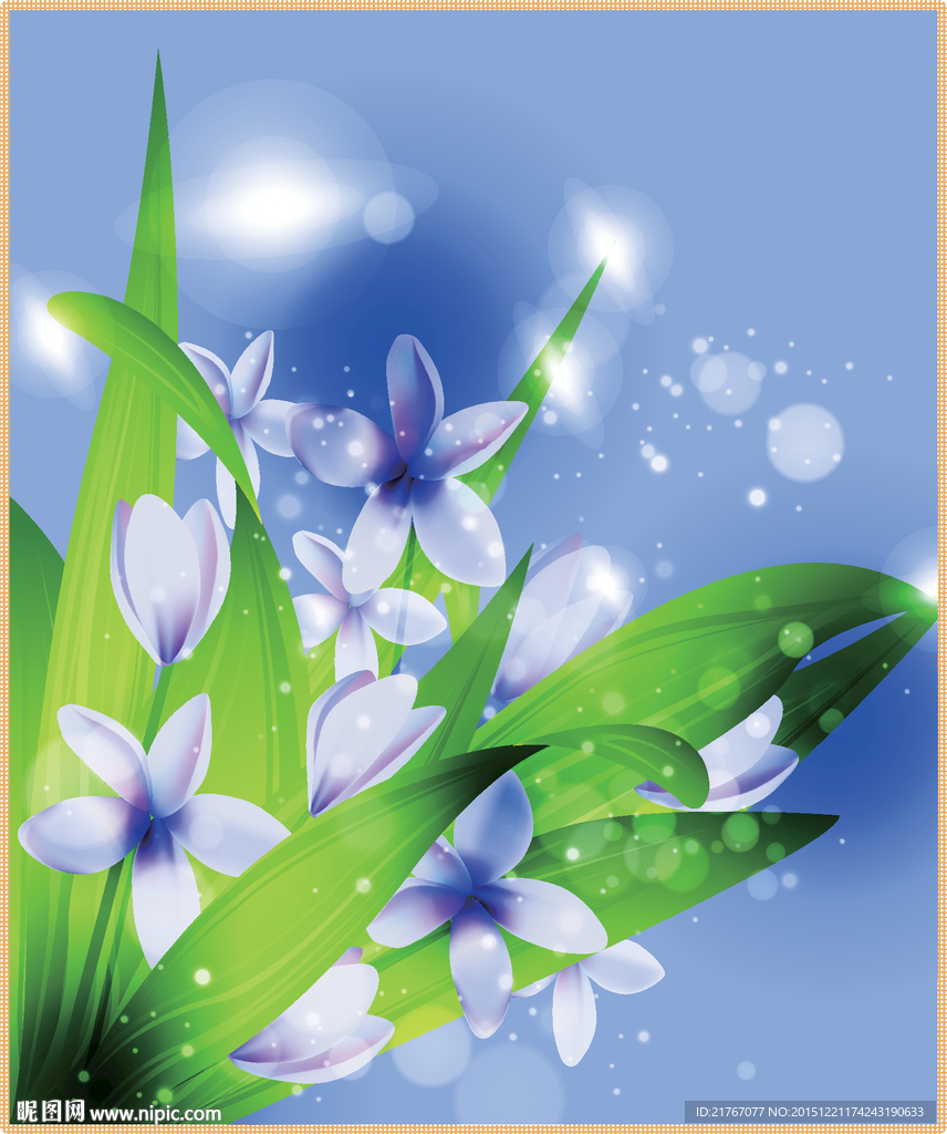 罗兰花