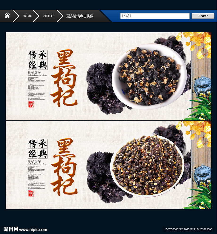 黑枸杞 中国风