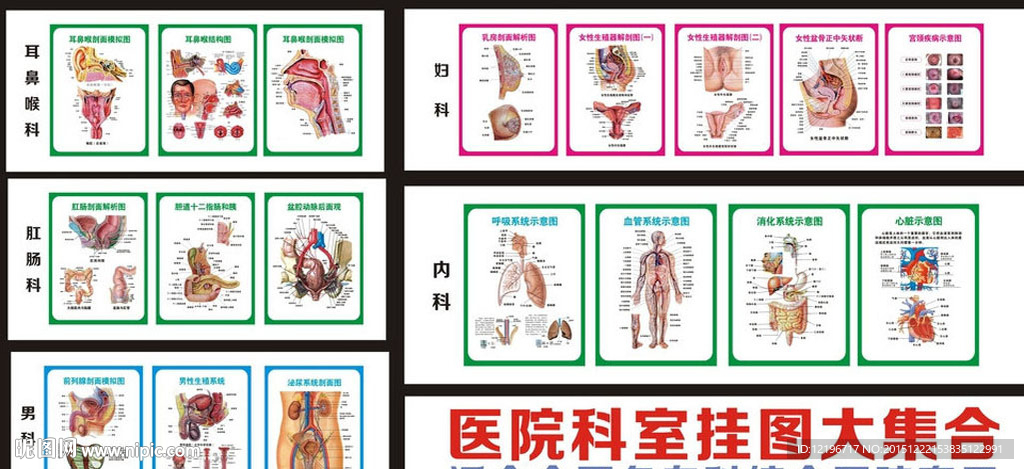 医院挂图
