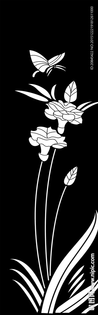 门图 兰花 蝴蝶