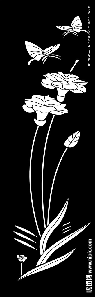 门图 兰花 蝴蝶
