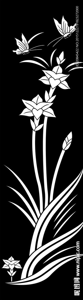 门图 兰花 蝴蝶