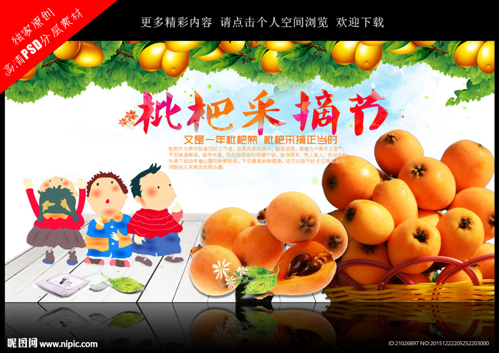 枇杷采摘
