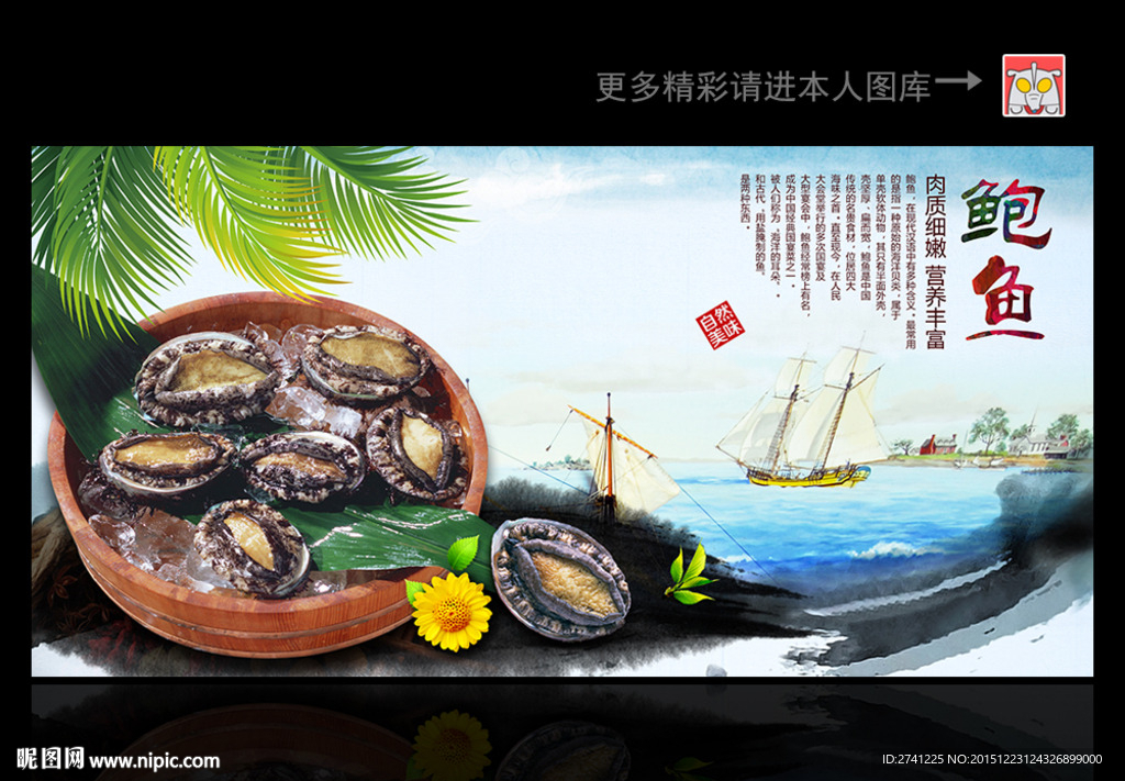 鲍鱼