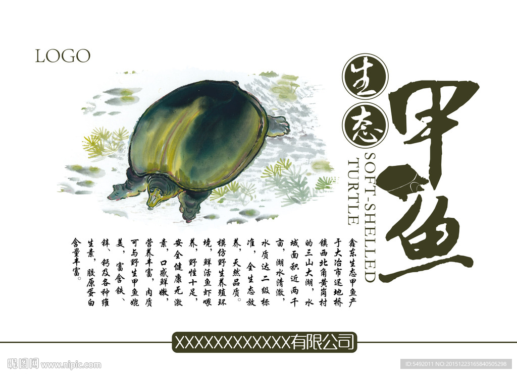 野生甲鱼海报设计
