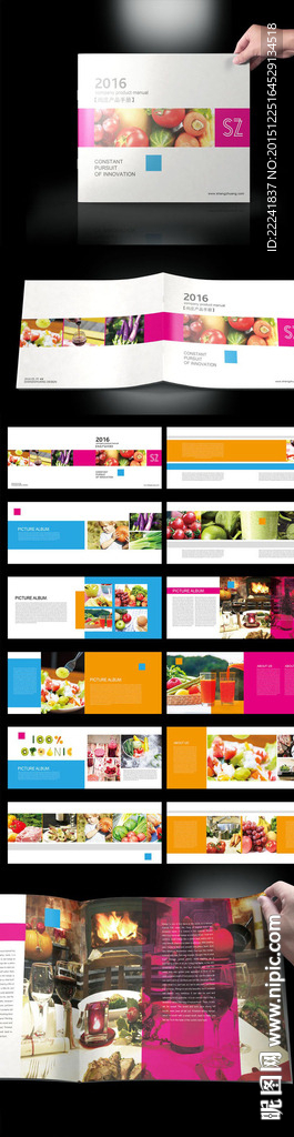 炫彩水果蔬菜宣传手册版式设计