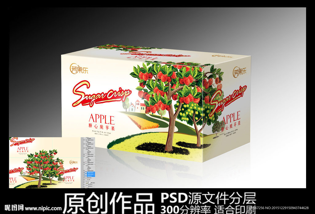 苹果包装展开图