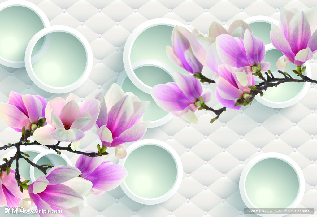 3d背景墙 玉兰花