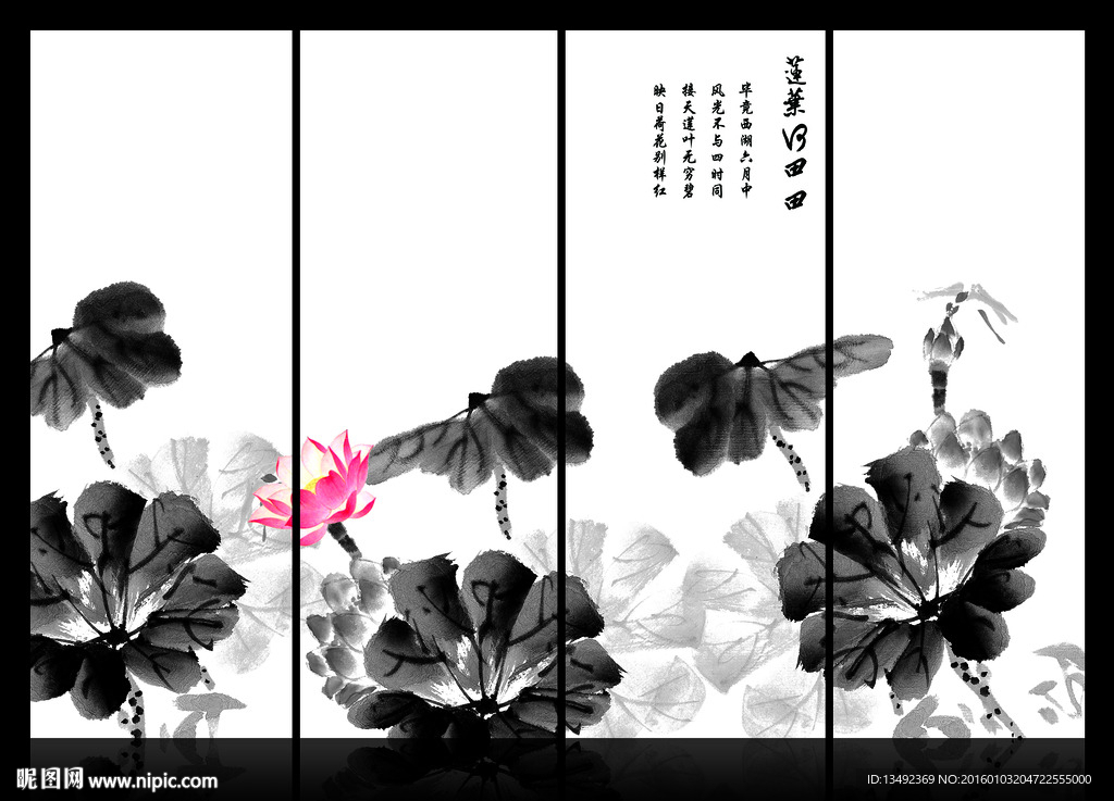 荷花图
