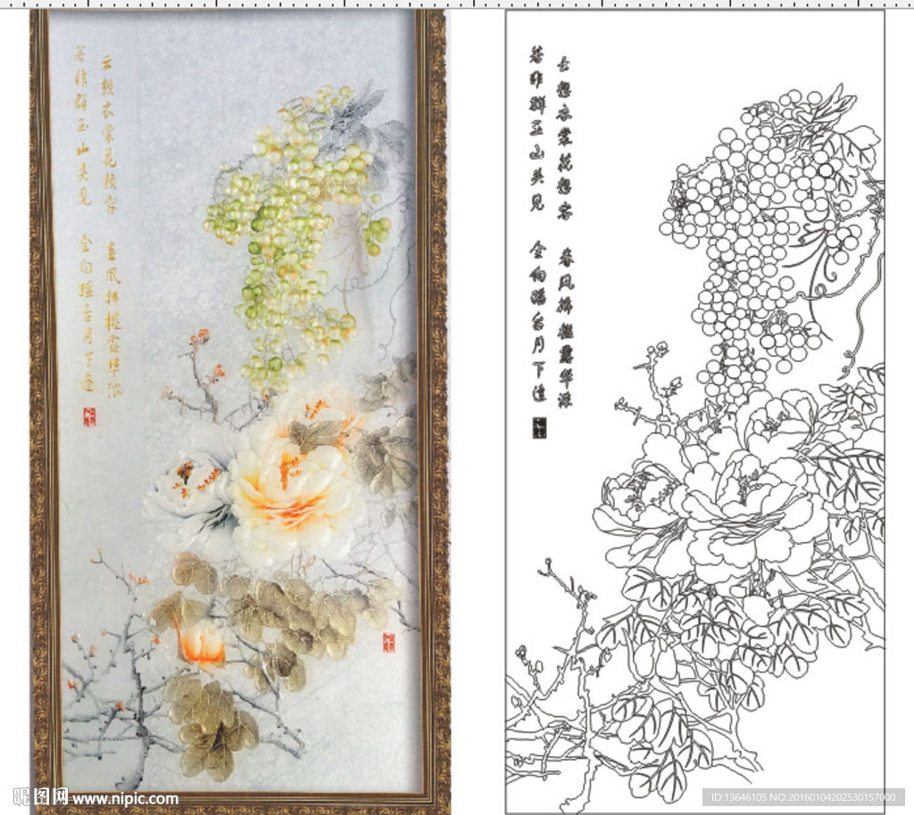 牡丹葡萄