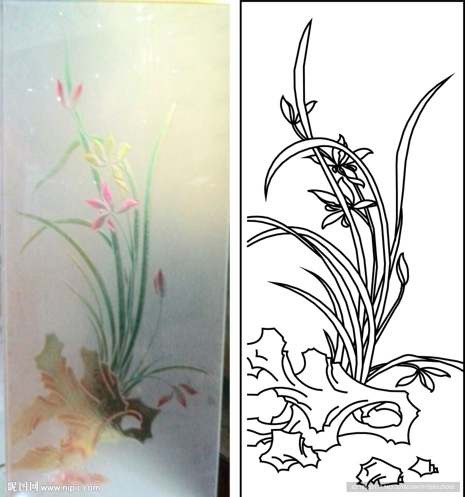 兰花