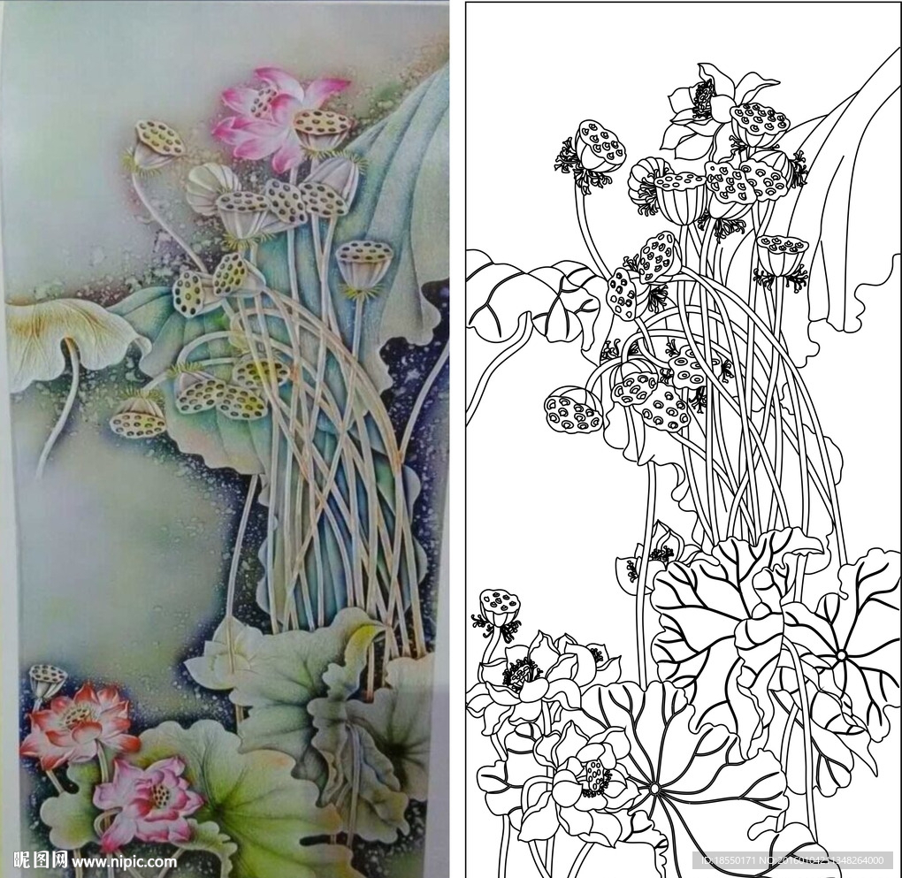荷花