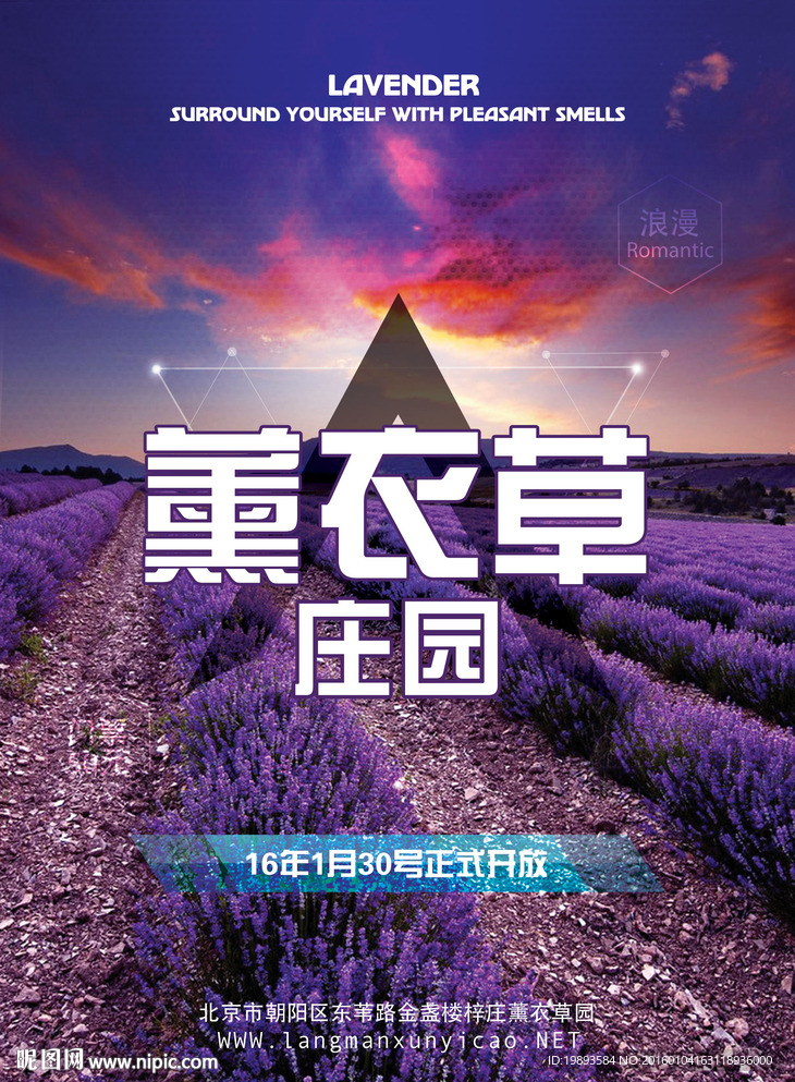 薰衣草庄园广告