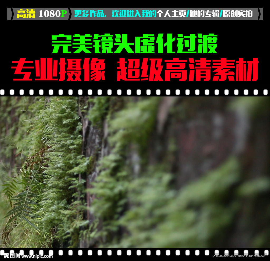 长满墙草的砖墙