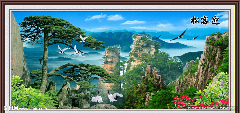 黄山迎客松