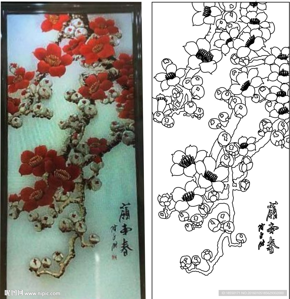 木棉花