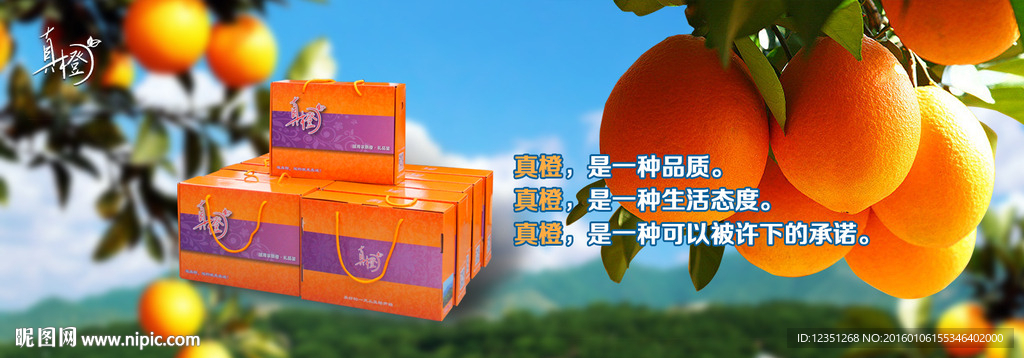 水果banner