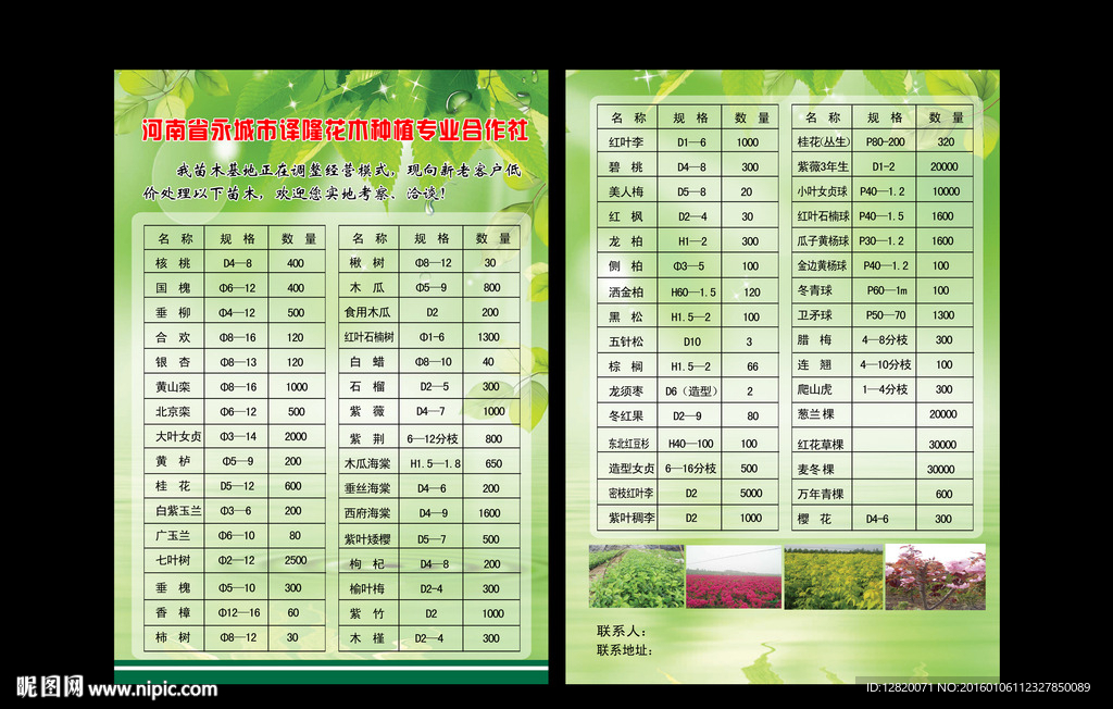 花木种植宣传页
