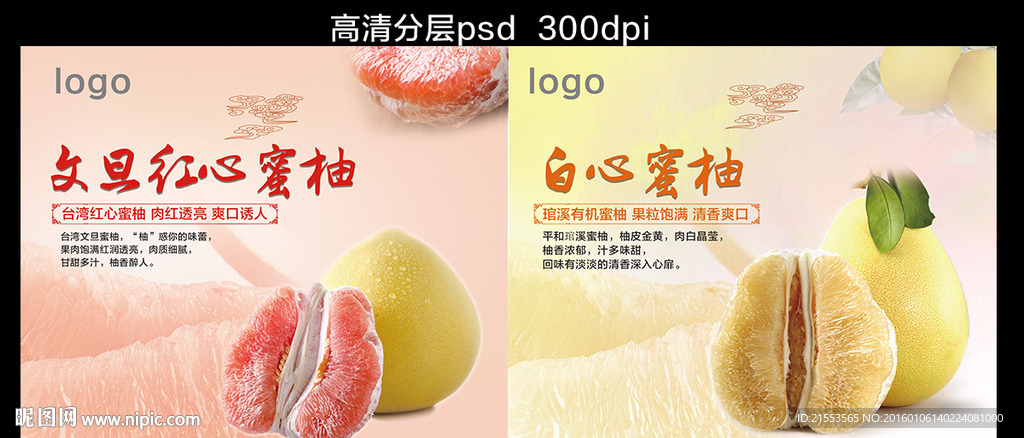 水果宣传画册 红心蜜柚 白蜜柚