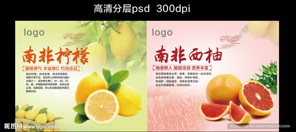 水果宣传册 柠檬 西柚