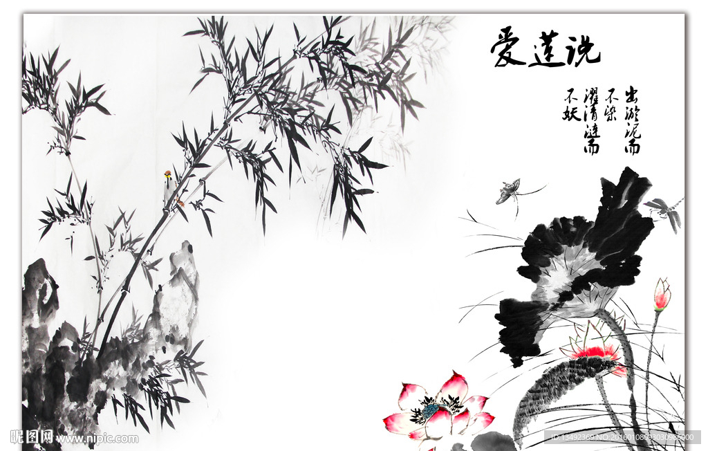 荷花图