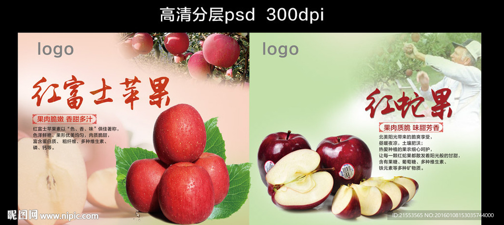 水果宣传画册 红富士苹果蛇果