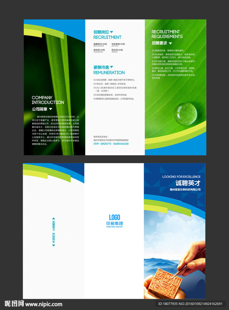 招聘三折页