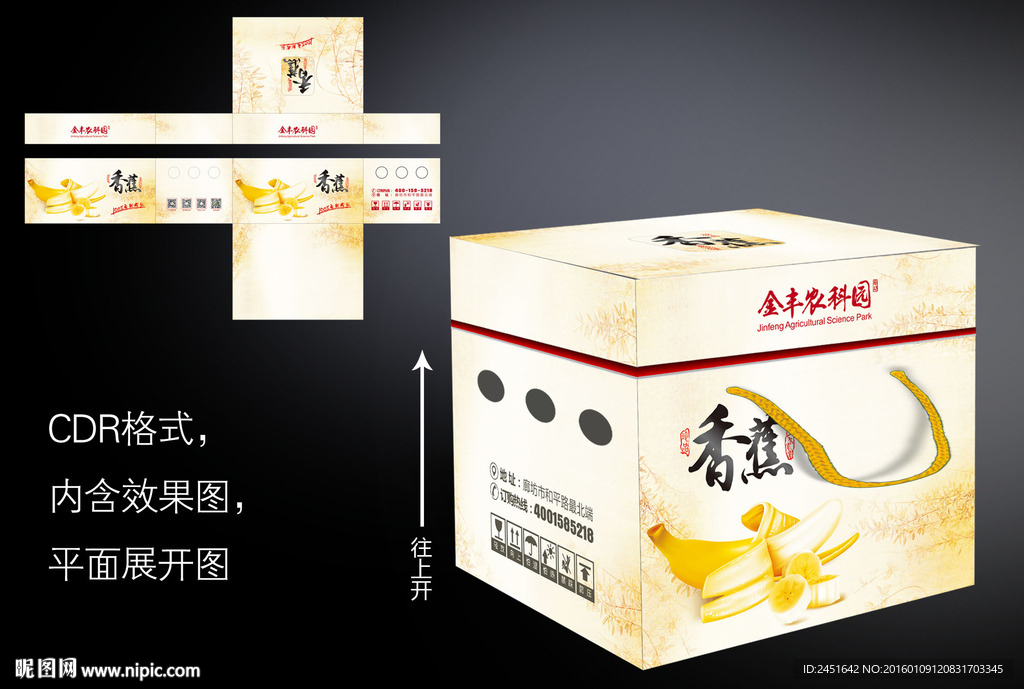 高档香蕉包装
