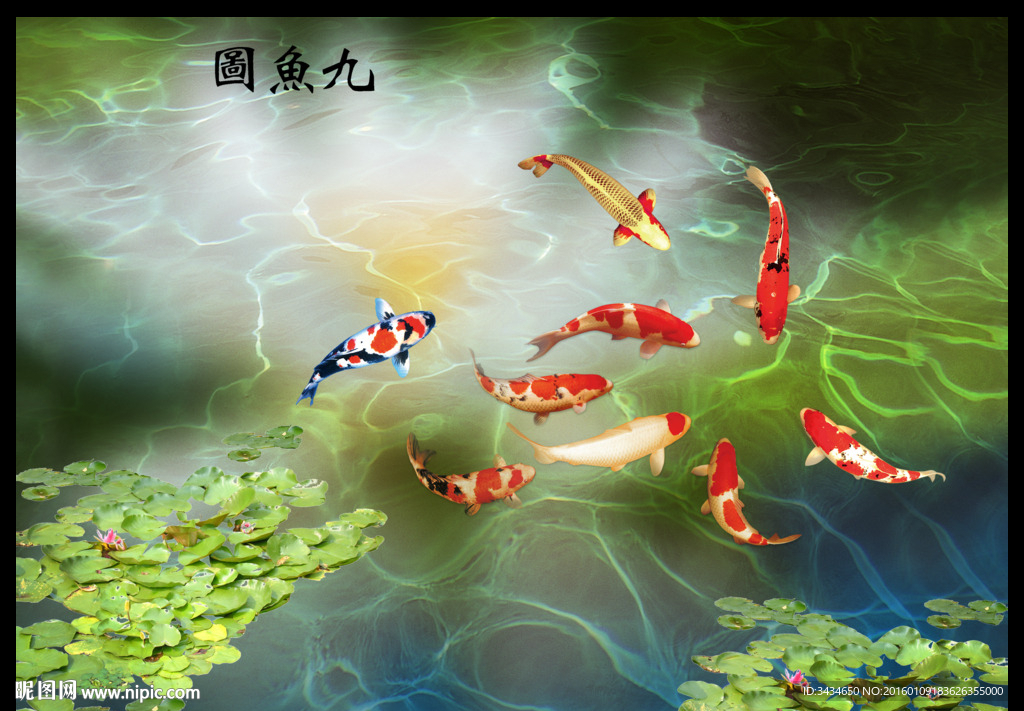 九鱼图图片
