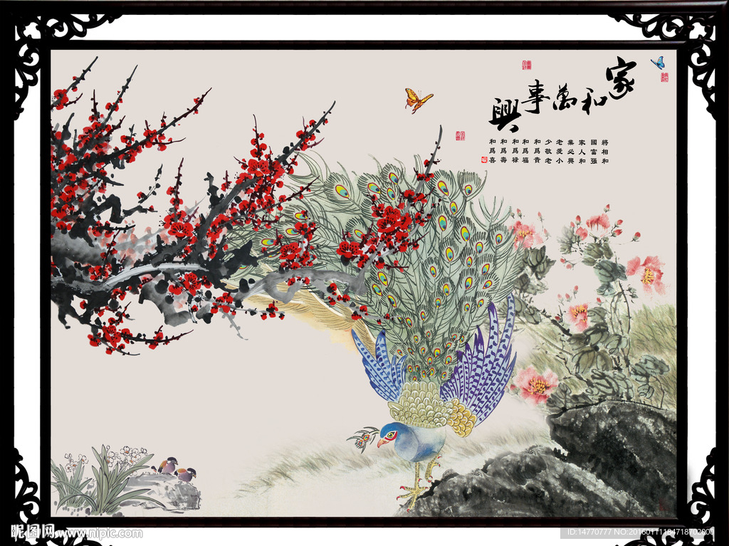 国画梅花 孔雀图