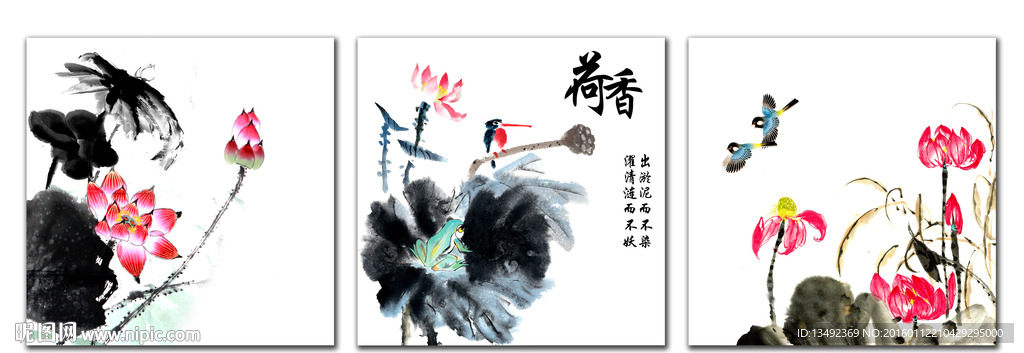荷花图
