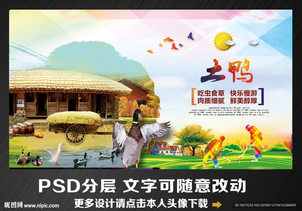 土鸭
