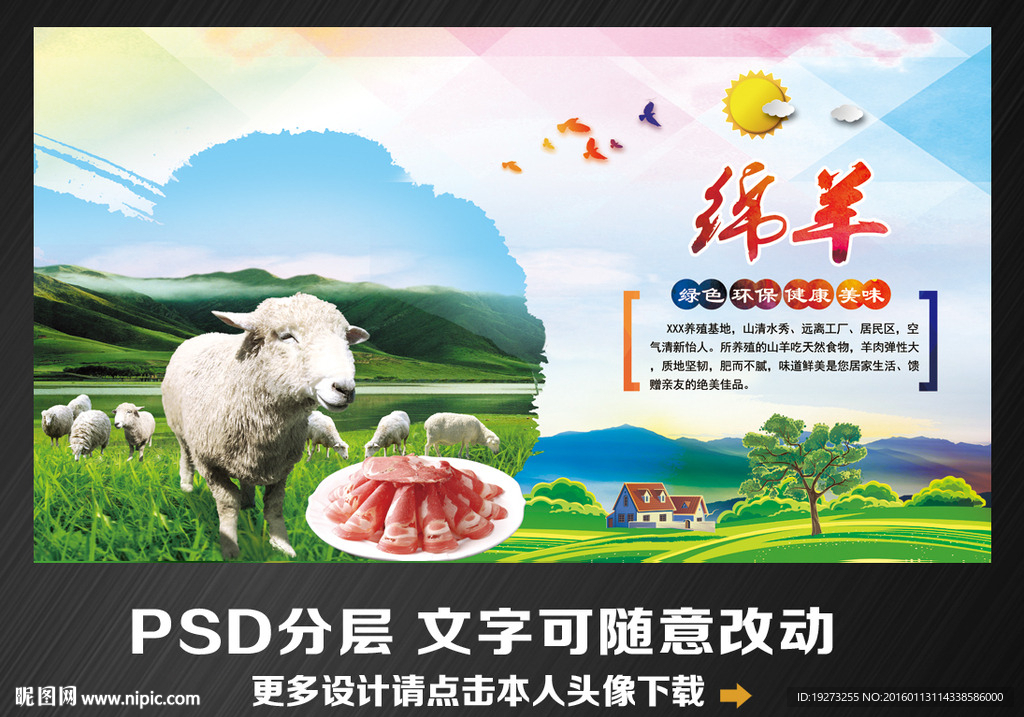 绵羊