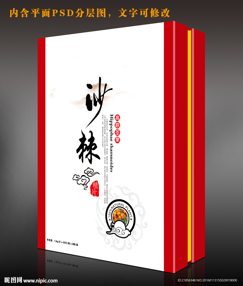 沙棘精片展开图