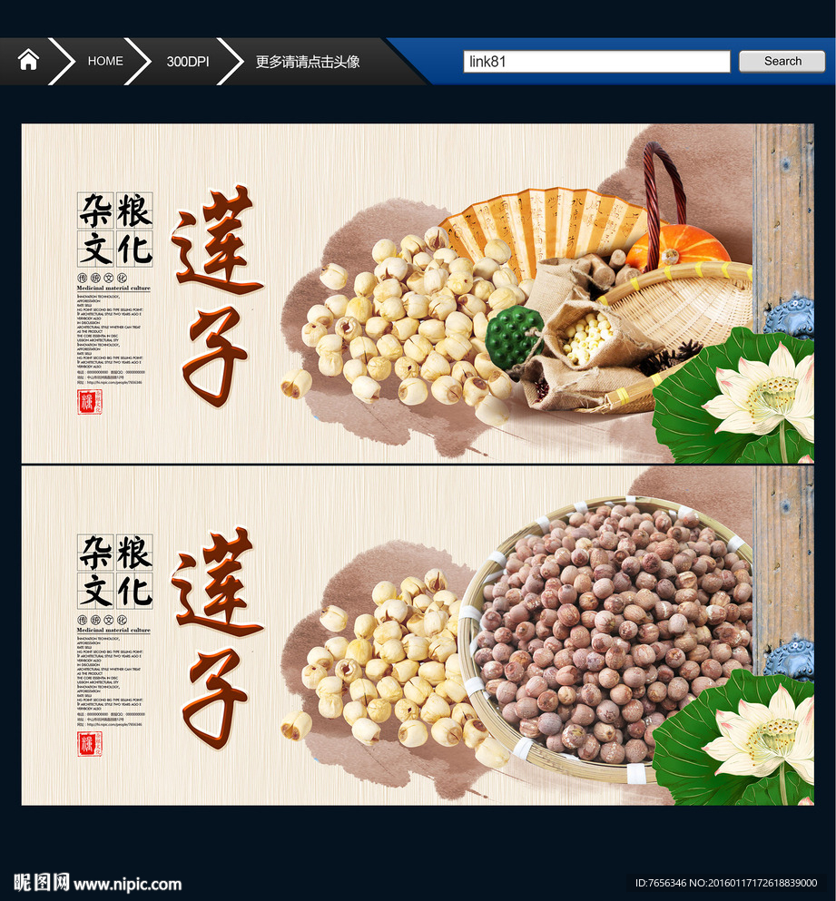 莲子 水墨中国风