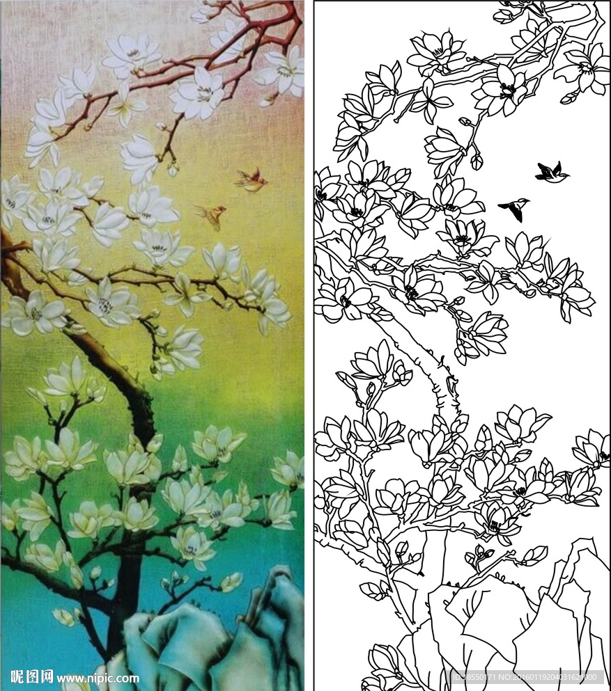 玉兰