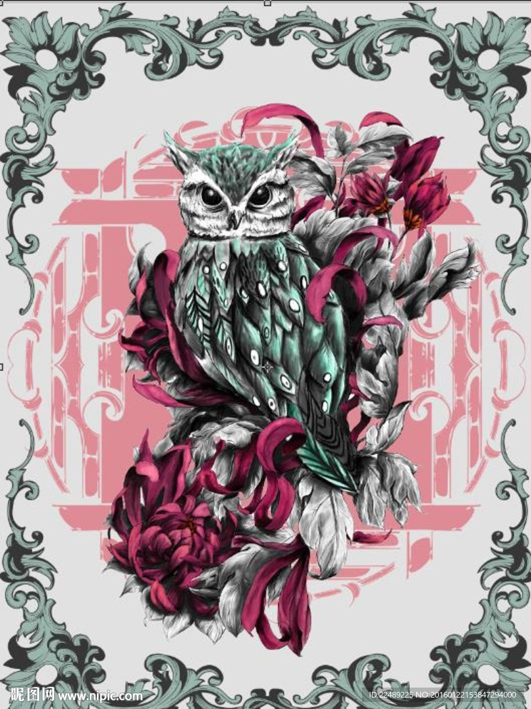 猫头鹰（内含高清图片）