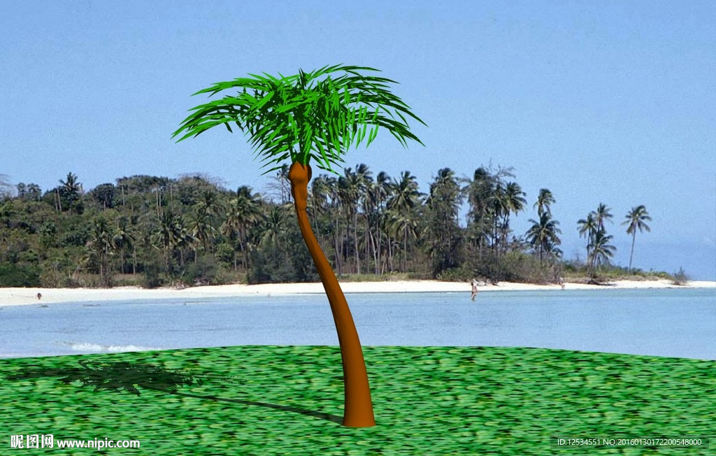 棕榈树