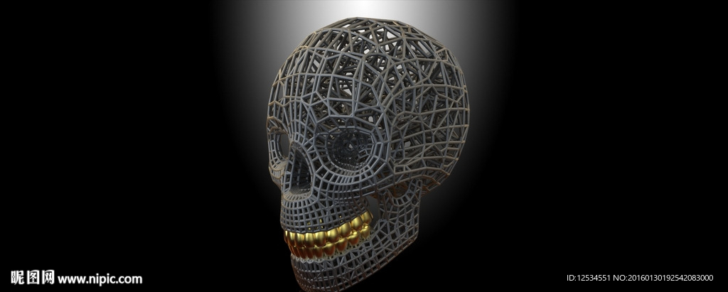 泰森多边形结构头骨