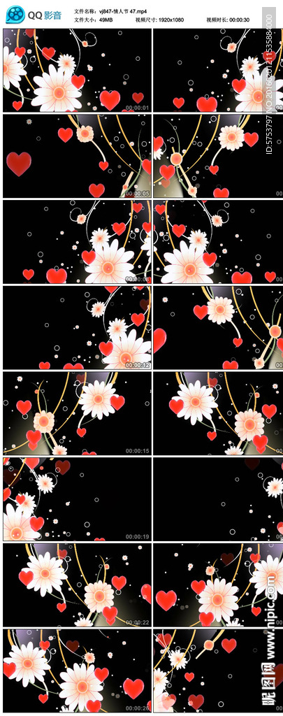 情人节桃心唯美婚庆视频素材