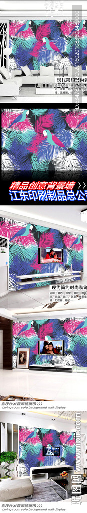 彩色羽毛和鹦鹉无缝背景墙