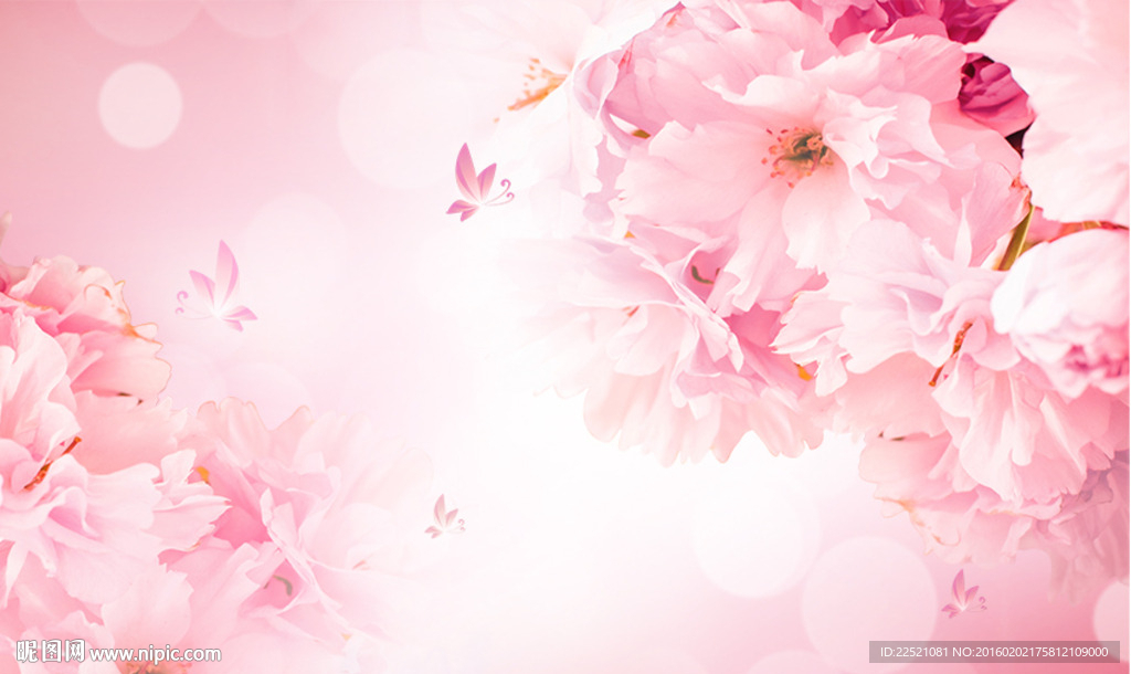 粉色爱情粉色花朵